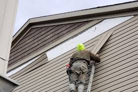 Best Custom Trim and Detailing for Siding  in Dilley, TX